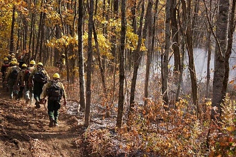 ‘Forest personnel need to sharpen skill’