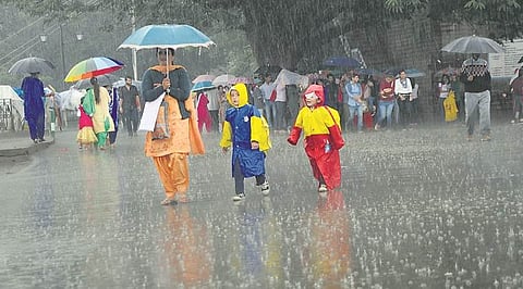 Increased rainfall in this monsoon : IMD