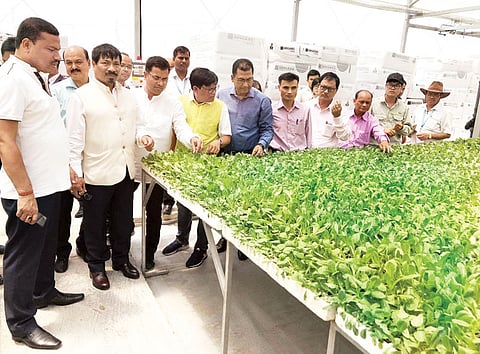 Vietnami province evinces interest in Assam agriculture sector