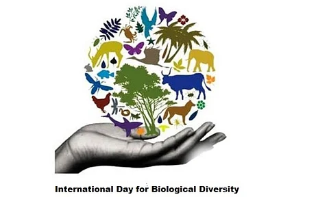 International Day for Biological Diversity observed