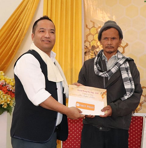 Importance of bees as pollinators highlighted