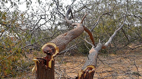 Illegal exploration of natural resources continues unabated