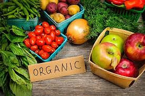 ‘Healthy Food’ Triggers Organic Food Export