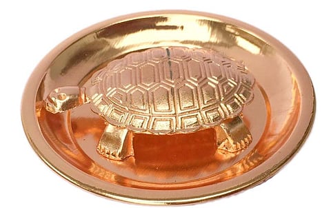 AVOID THESE THINGS IN THE MAIN DOOR