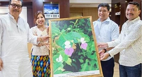 Arunachalee botanist discovers new flower species