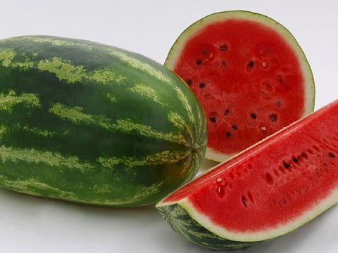 Hybrid variety of watermelon thrive in Tezu