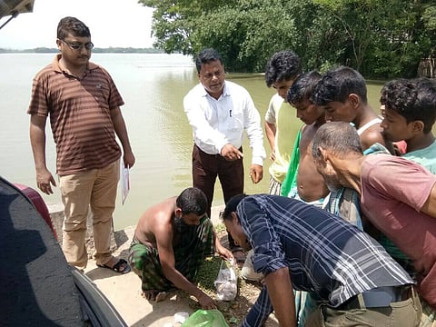 হাইলাকান্দির বন্যাবিধ্বস্ত অঞ্চল দেখলেন জেলাশাসক