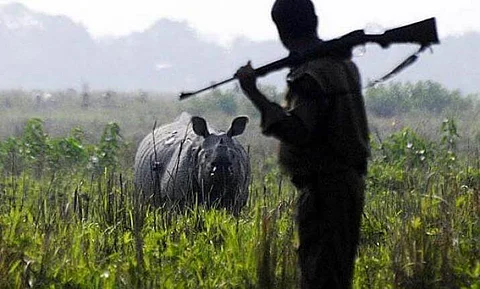 Poacher killed