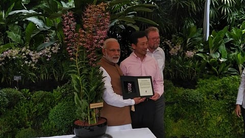 Orchid Remaned As ``Dendrobium Narendra Modi’’, Singapore