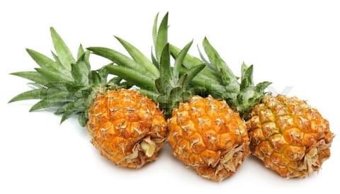 ‘Queen’ pineapple variety declared Tripura’s State fruit