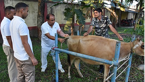 SSB conducts training on artificial insemination