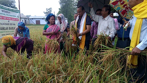 Sale centre for agricultural products inaugurated