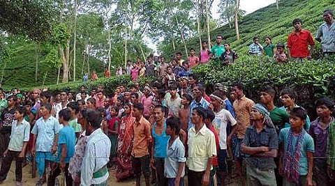 Tea garden labourers stage protest in Dibrugarh