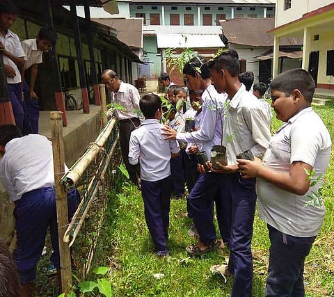 World Environment Day observed