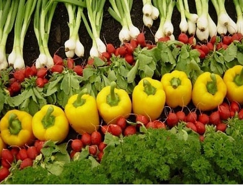 Agri-Marketing: Curable Gaps between the Cup and the Lips