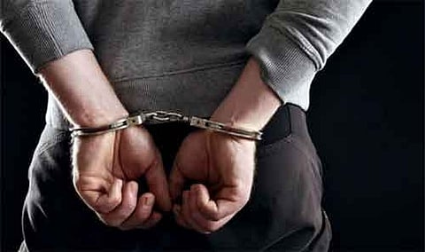 Burglars arrested