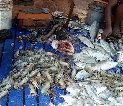 Guwahati City residents scared of imported fish