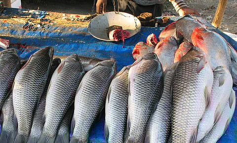 Raid in Golaghat market places