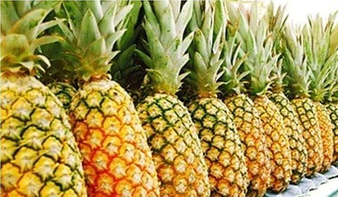 Pineapple festival comes to close
