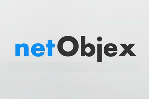 US-based NetObjex Acquires India's Serventire Global