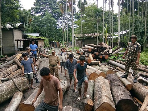Illegal timber mill seized at Tamulpur