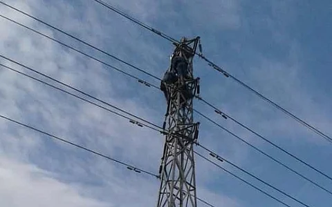 Tea garden laborer electrocuted at Sonari