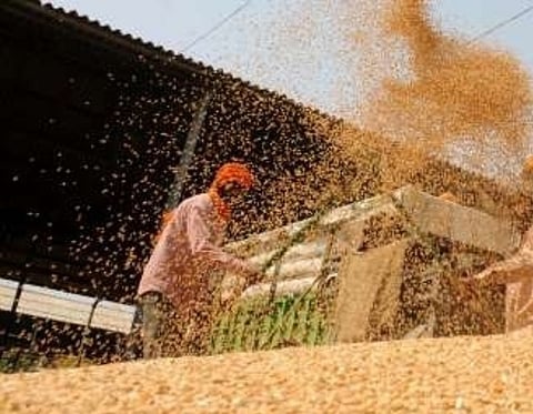 India’s YoY exports up 14%, imports rise 29%