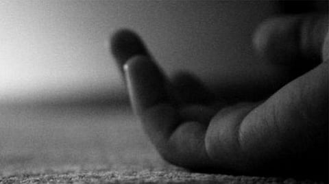 Woman kills her child, commits suicide at Palashbari