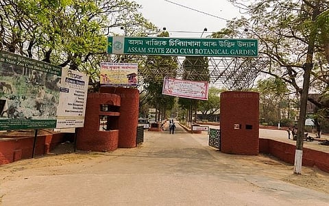 Inquiries on to Unearth Anomalies at the Assam State Zoo cum Botanical Garden