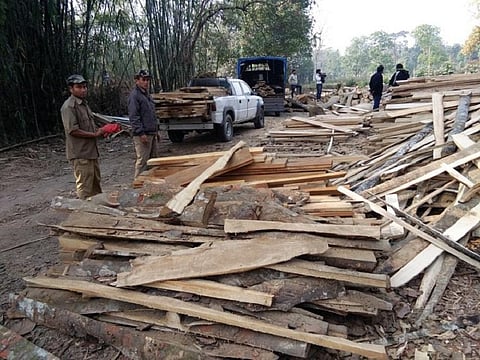 Four illegal band sawmills seized in Nagaon