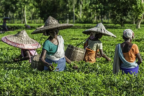 Regional committee of Assam Tea Tribes Keot Vikash Manchato to be formed at Naharkotiya
