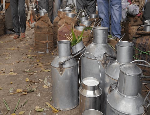 Adulterated milk: Official says 68% milk & milk products in India not as per FSSAI standard