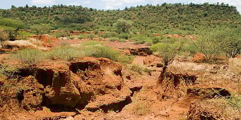 Soil erosion throws people into panic in Panchali of Dibrugarh
