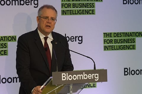 Strawberry Saboteurs May Face 10-15 Years in Jail: Scott Morrison