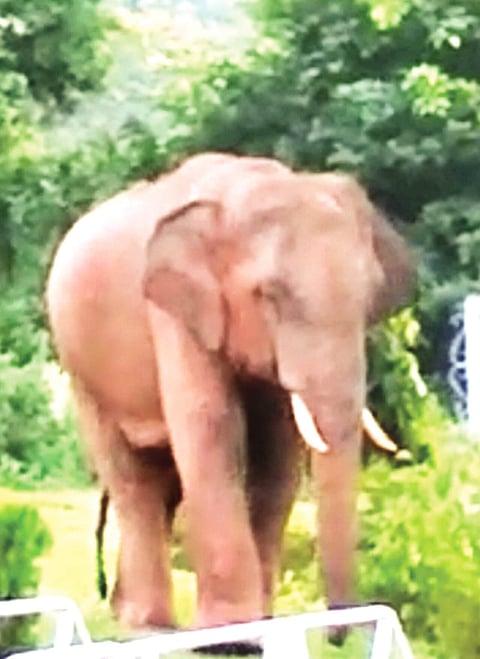 Guwahati awaits more destruction and loss of lives