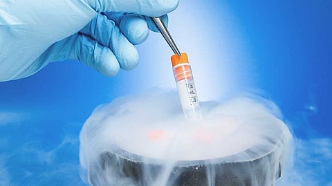 Freezing Your Eggs in 40s ‘Not Sensible’: UK Fertility Regulator