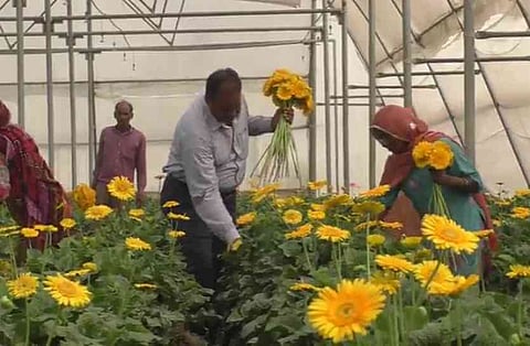 Unconventional Farming Can Help Farmers Double Their Income