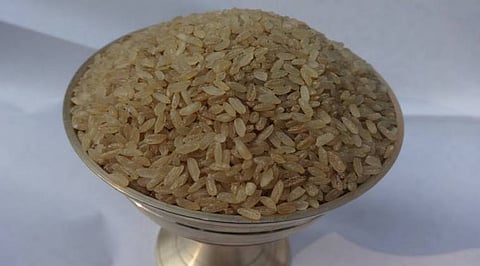 Assam’s Boka Chaul to be Promoted as Magic Rice in United States