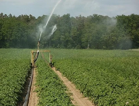 What Ails Irrigation Projects In State? Not giving ear to WUAs hits upkeep of schemes