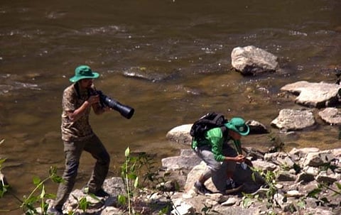 171 species documented in Ziro Butterfly Meet: Arunachal Pradesh