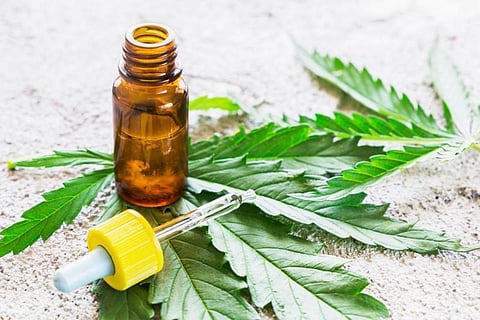 How Cannabis Oil Can Help in Chron's Disease
