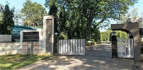 Ambassador of Norway and Team Visits Tocklai Research Institute