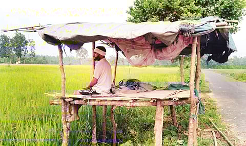 Wild Elephant Menace in Rani Area Along the Assam–Meghalaya Border