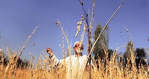 Meghalaya agriculture policy & Minimum Support Prices on cards