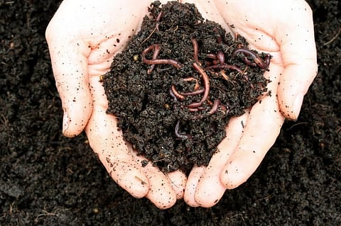 How About Making Organic Compost All By Yourself? | 14 Oct, 2018