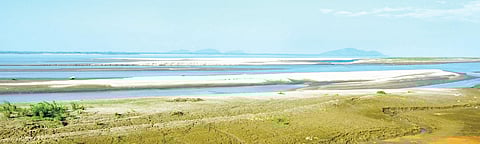 Guwahati Municipal Corporation (GMC) struggles to lessen public fear