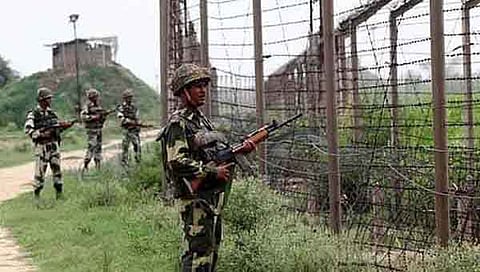 Border Security Force Seizes Two Oxen Along Bangla Border