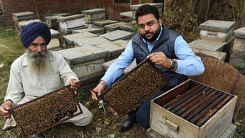 Himachal Pradesh Promotes Bee Keeping