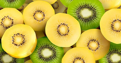 Boost to Kiwi growers: First consignment of kiwi flagged off from Ziro