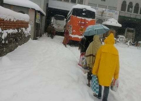 Provide support to stranded pilgrims: Odisha Government